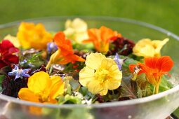 Kräutergarten, Salat aus essbaren Blüten, Kräuterblüten
