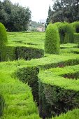 Barcelona, Parc del Laberint, Labyrinth, Hecke