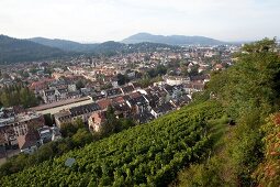 Freiburg, Ausblick vom Schloßberg 