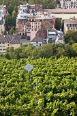 View of cityscape from Schlossberg, Freiburg, Germany