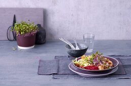 Sprossen-Kohl-Salat mit Tofu Sprossensalat, Salat mit Sprossen