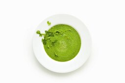 Green soup made with avocado, spinach and moringa powder