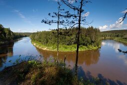 Lettland, Erglu Klintis, Adlerfelsen am Gauja Fluss bei Cesis