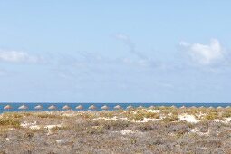 Portugal, Algarve, Faro, Ilha da Baretta