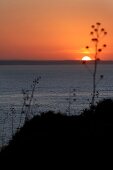 Portugal, Algarve, Ponta da Piedade, Sonennuntergang