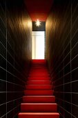 Narrow stairway with dramatic light with black tiled walls and red stairs