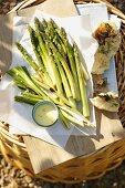 Grilled asparagus with saffron mayonnaise and pizza bread