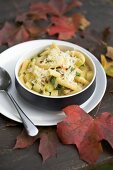 Penne pasta with herbs and cheese