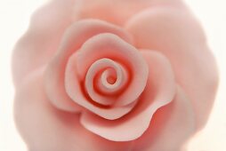 Pink Gum Paste Rose; Close Up
