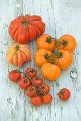 Various varieties of tomatoes