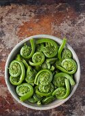 Maine Fiddleheads in a Bowl; From Above