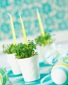 Cress and candles in egg cups