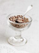 Laird lentils in a dessert bowl with a spoon