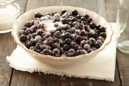 Blackcurrants in a bowl of sugar
