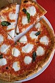 Pizza Margherita