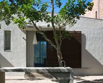 Courtyard with bench in front of tree