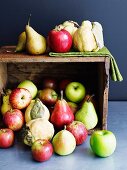 Stillleben mit Äpfeln, Birnen und Quitten