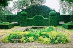 Flowering lady's mantle in front of pool in gardens with topiary hedges