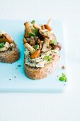 Slices of bread topped with mushroom butter and fresh mushrooms