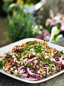 Cabbage salad with onions and carrots