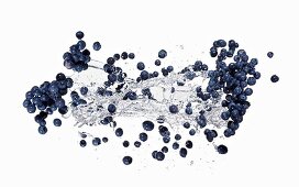Blueberries and a splash of water