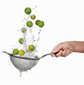 Washing mirabelles in a colander