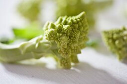 Romanesco (Close Up)