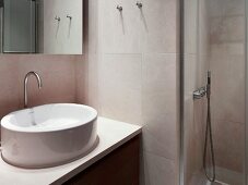Designer washstand with white basin in niche next to shower area