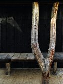 Tree trunk sculpture in front of weathered bench in courtyard