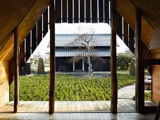 View of Japanese garden through glass wall