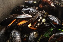 Steamed Irish mussels