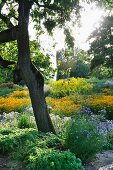 Herbaceous borders in park (Killesbergpark, Stuttgart, Germany)