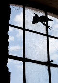 Bird ornament attached to pane of lattice window