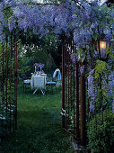 Blick durch Gartentor aus Metall und üppig blühende Glyzinienranken auf romantisch gedeckten Gartentisch