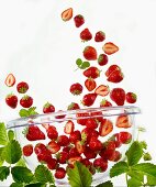 Many strawberries falling into a glass bowl