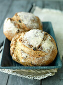 Frische Haselnussbrötchen