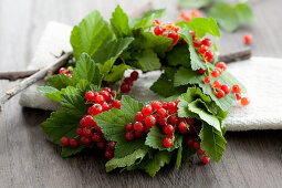 A wreath of redcurrants