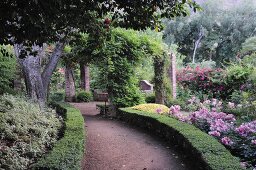 Niedrige Hecke und blühende Rosen am breitern Gartenweg entlang