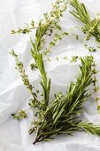Fresh Sprigs of Rosemary and Oregano on Butcher's Paper