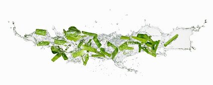 Aloe Vera und Wasser