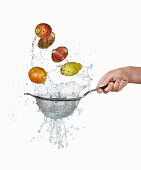 Prickly pears being washed