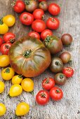 Various varieties of tomatoes