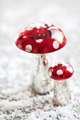 Festive fly agarics