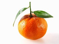 Eine Mandarine mit Blättern