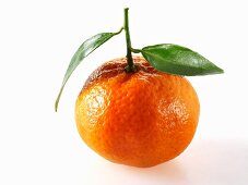 A mandarin orange with leaves