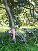 Bicycle with picnic blanket in woods