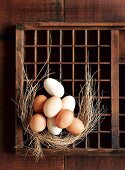 Fresh eggs and straw on a seedling tray