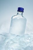 Vodka bottle between ice cubes