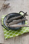 Fish ornaments in enamel pot