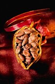 Halbe Kakaofrucht gefüllt mit Kakaobohnen